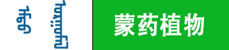 讯诺网络